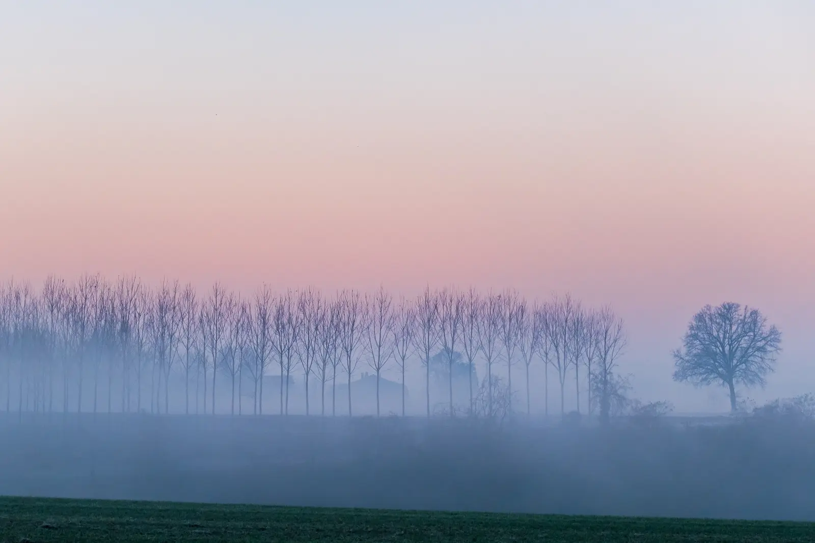 Paesaggio lento — immagine 1