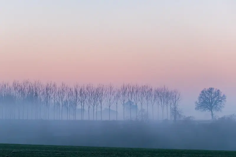 Paesaggio lento