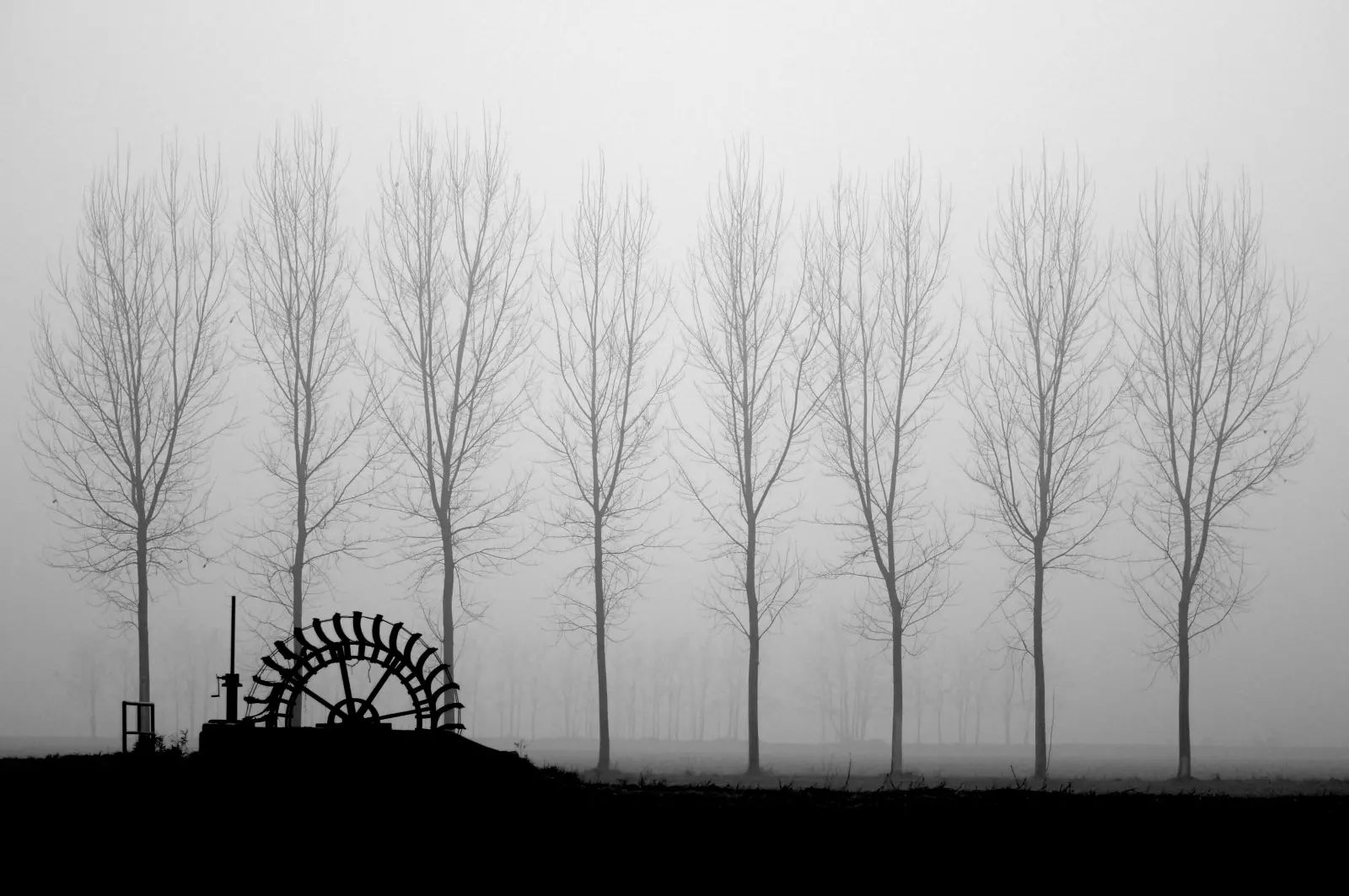 Paesaggio lento — immagine 10