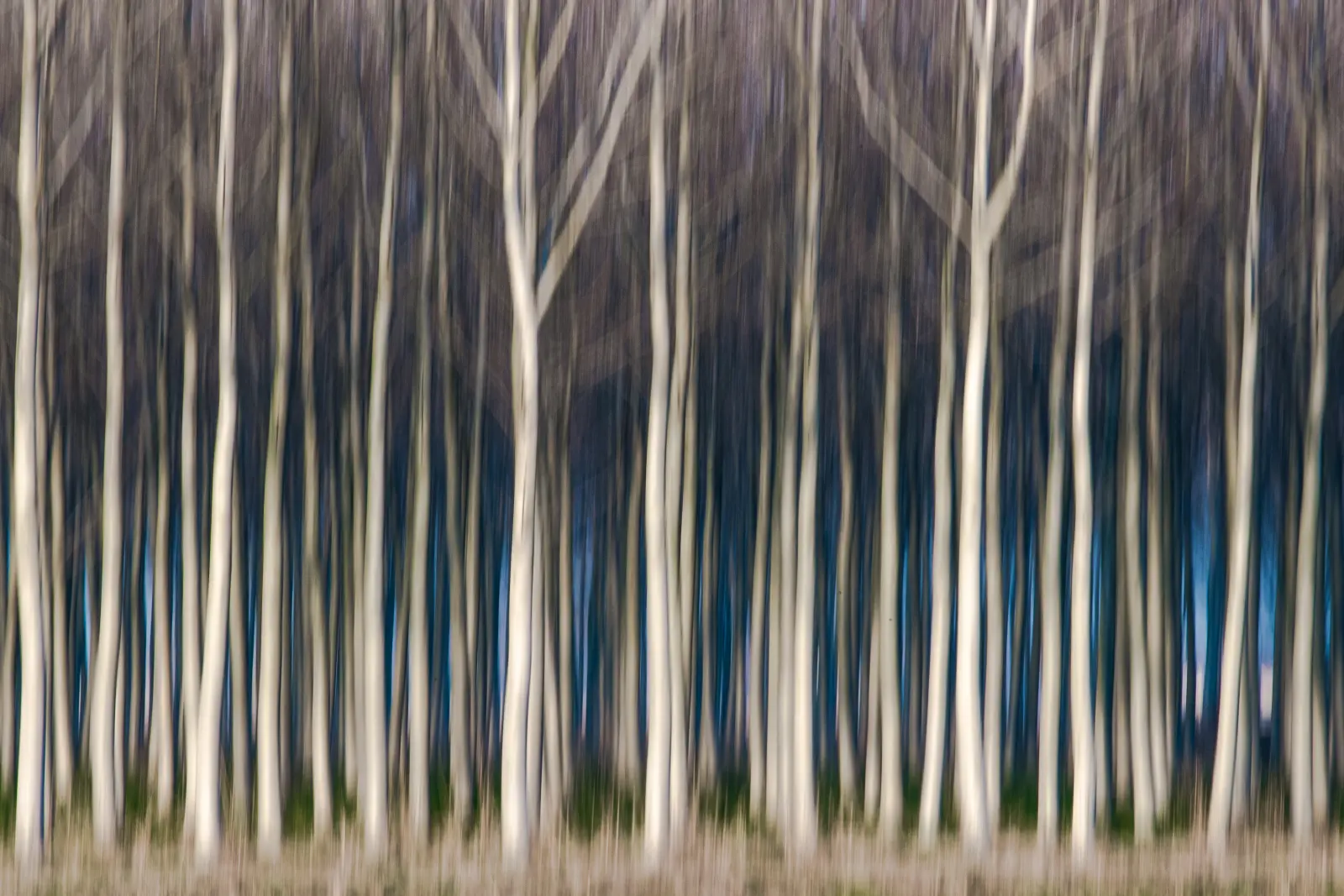 Paesaggio lento — immagine 3