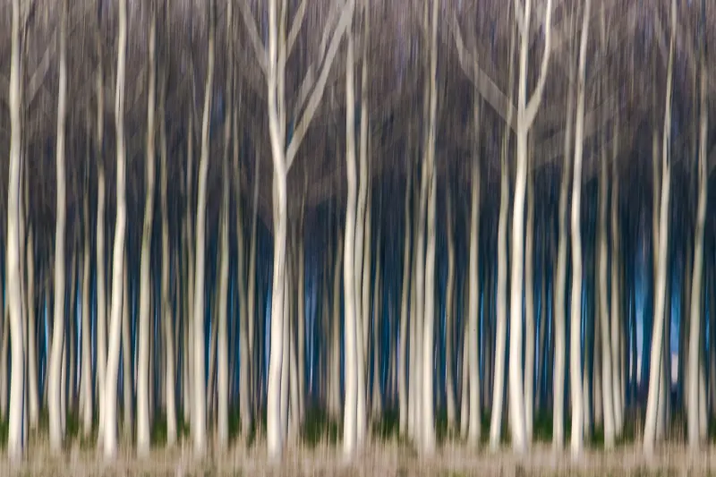 Paesaggio lento
