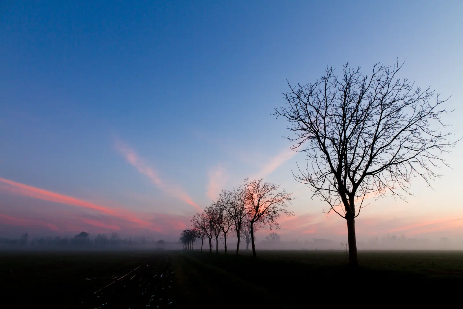 Paesaggio lento — immagine 2