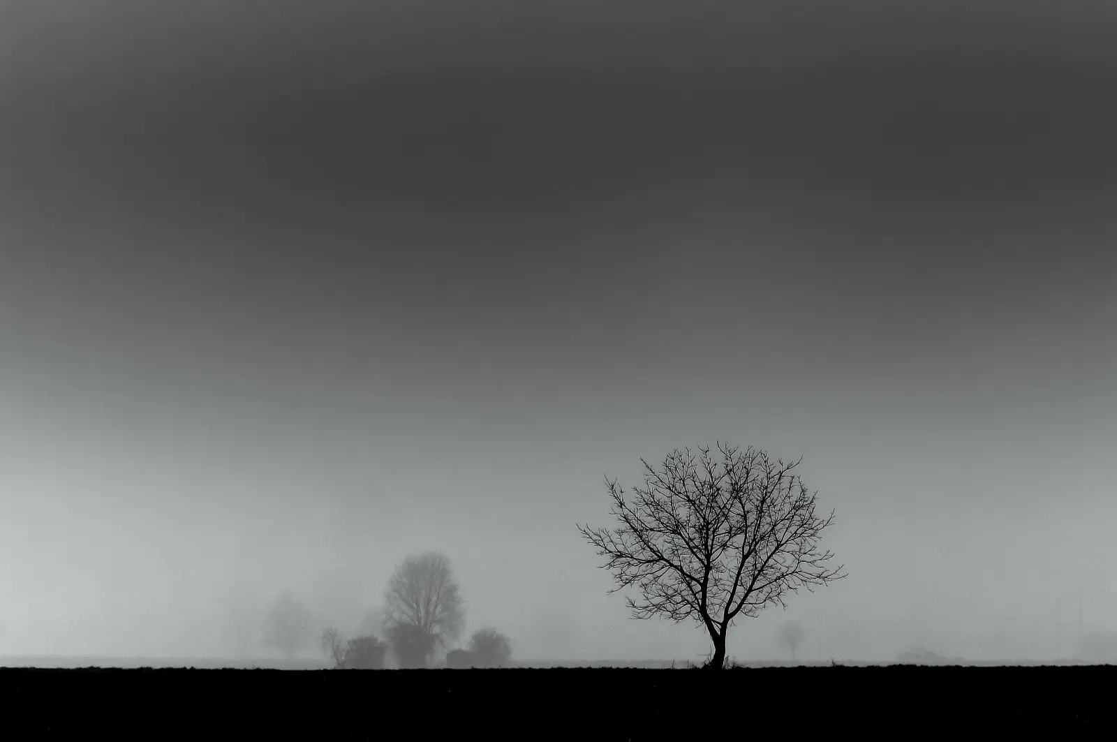 Paesaggio lento — immagine 4