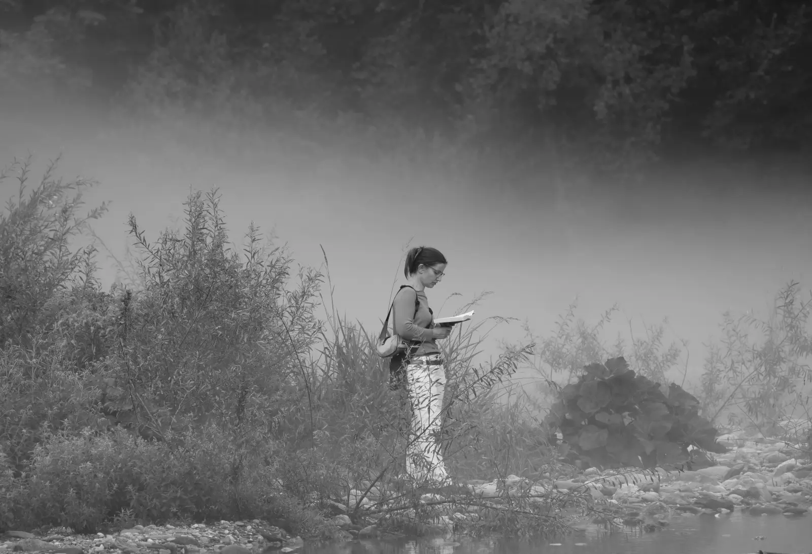 "La donna che leggeva nella nebbia" — immagine 1