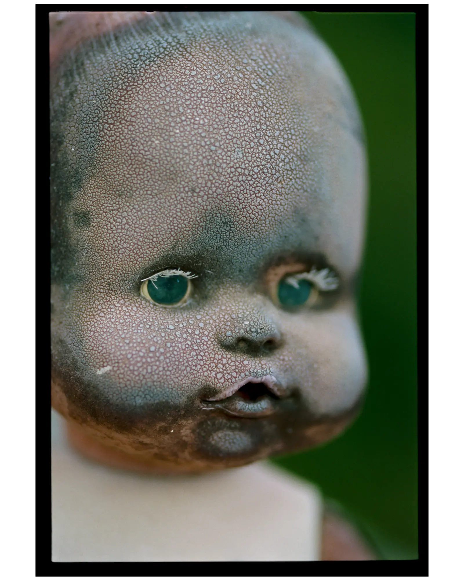 TOXICLAND — immagine 3