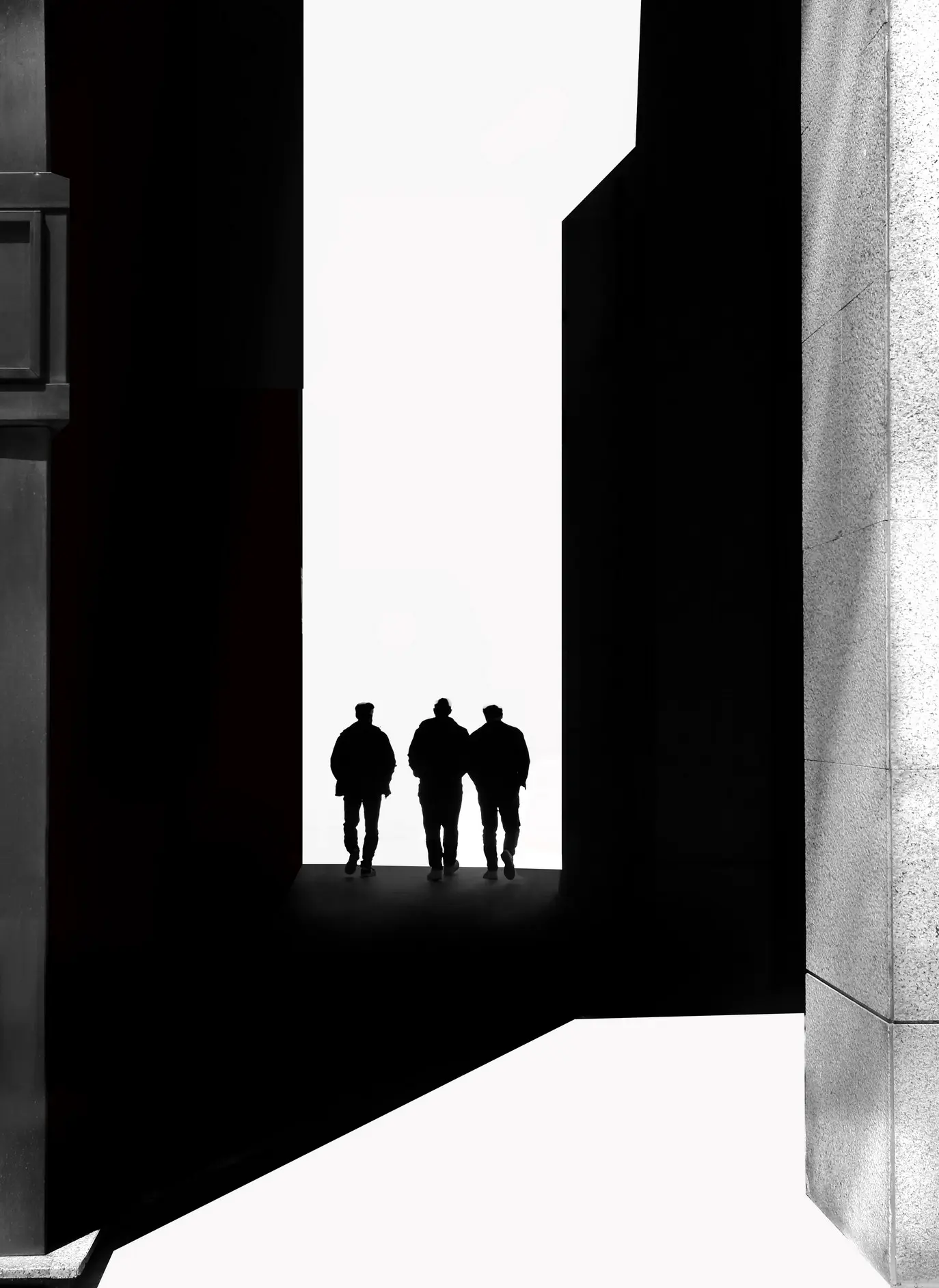 "Luci e Ombre" in chiaroscuro — immagine 2