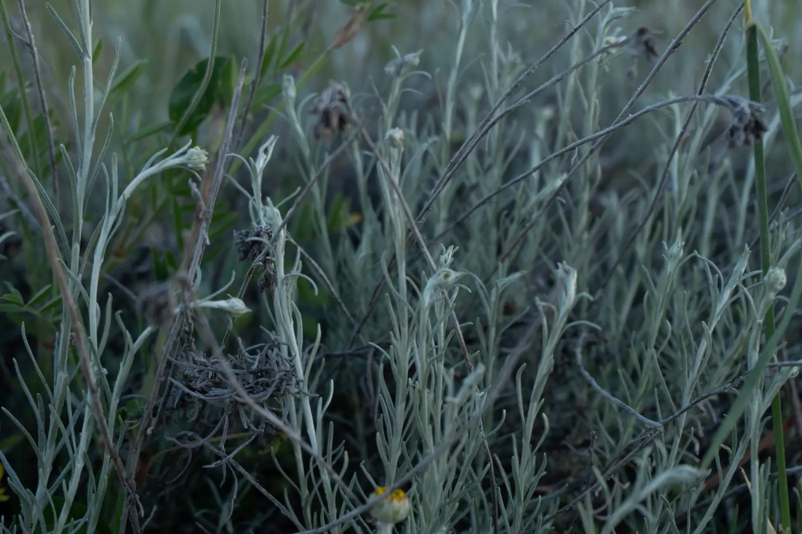 Oltre — immagine 9