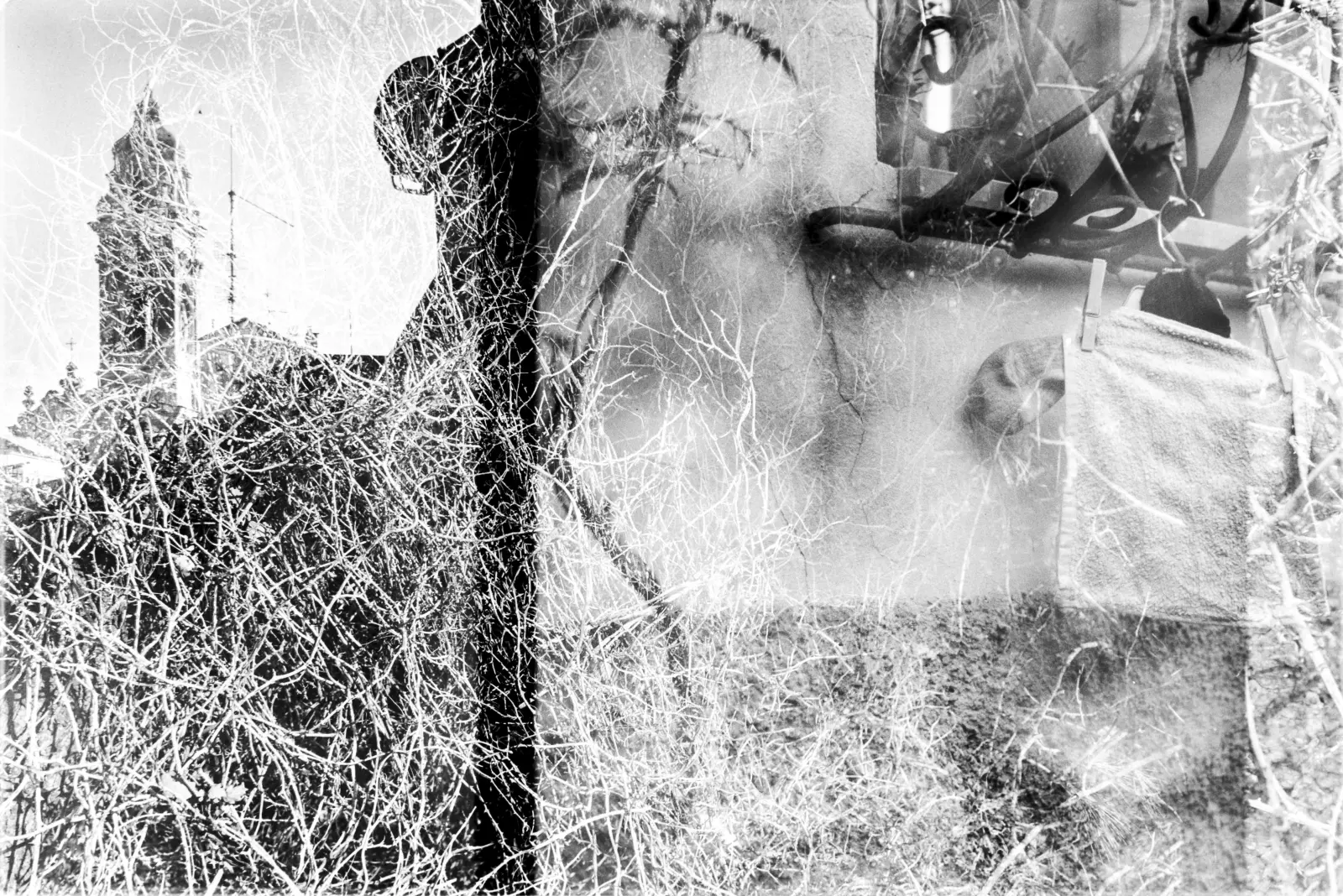 Strati Casuali di Memoria — immagine 6