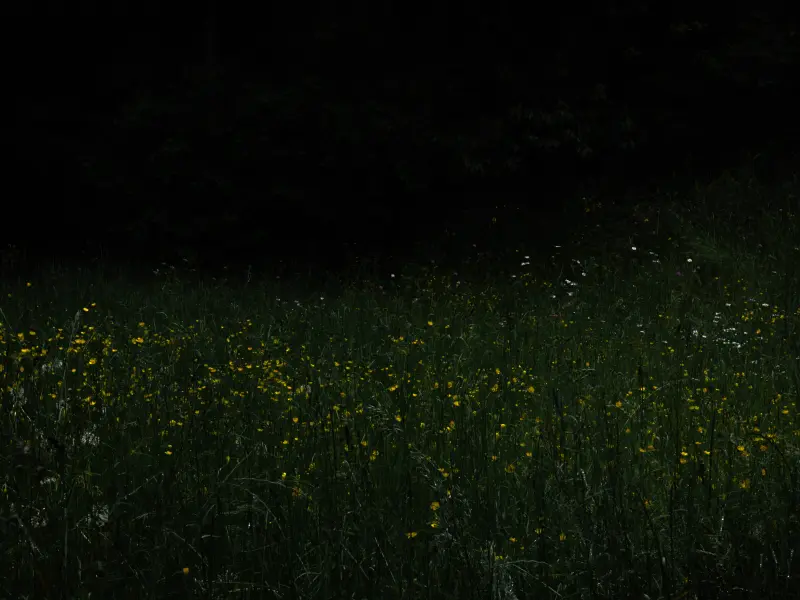 Ci avete seppellito, ma non sapevate che eravamo semi