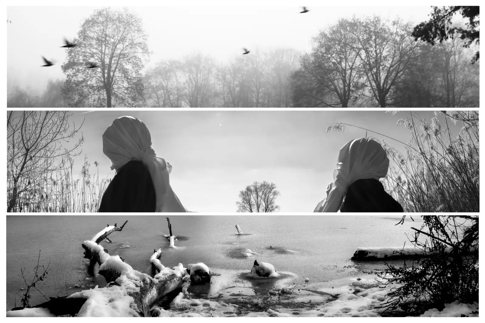 Legami ciechi — immagine 2