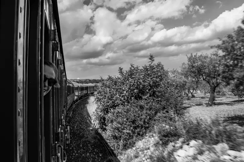 Cercando il tempo che sosta (Estratto)