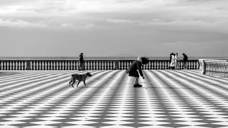 Cercando il tempo che sosta (Estratto)