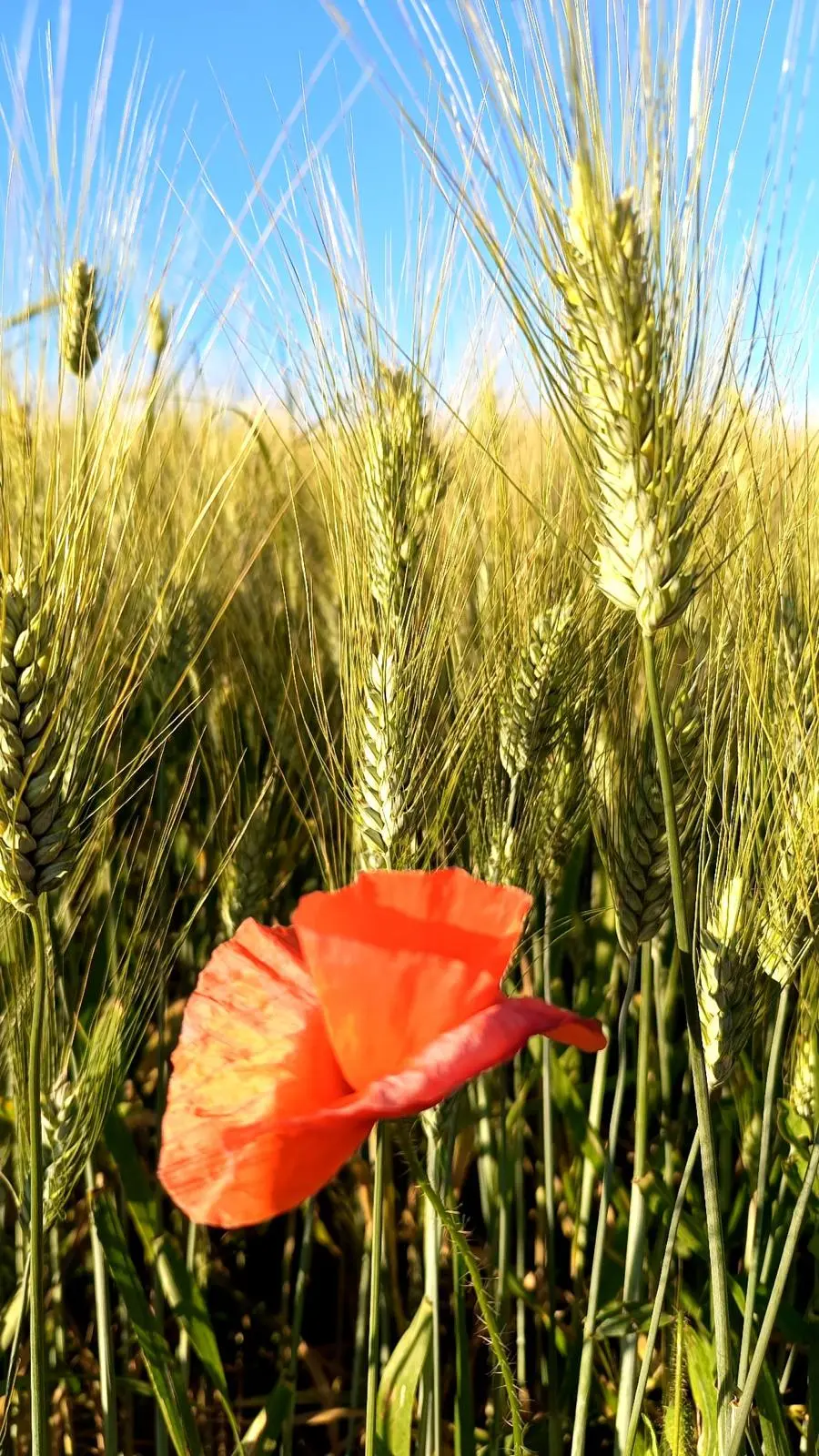 Il respiro del tempo — immagine 4