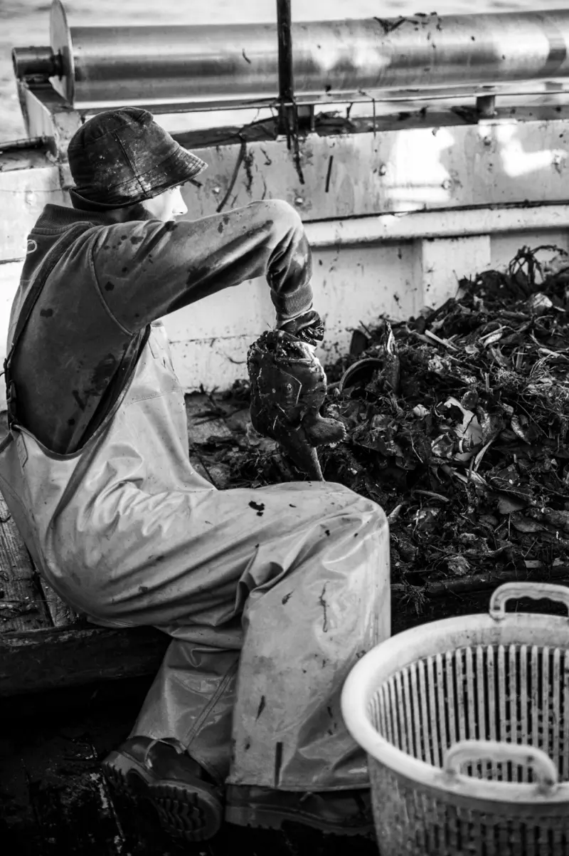 IL PESCATORE