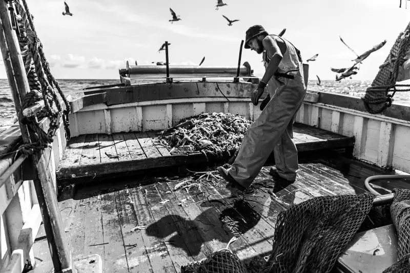 IL PESCATORE
