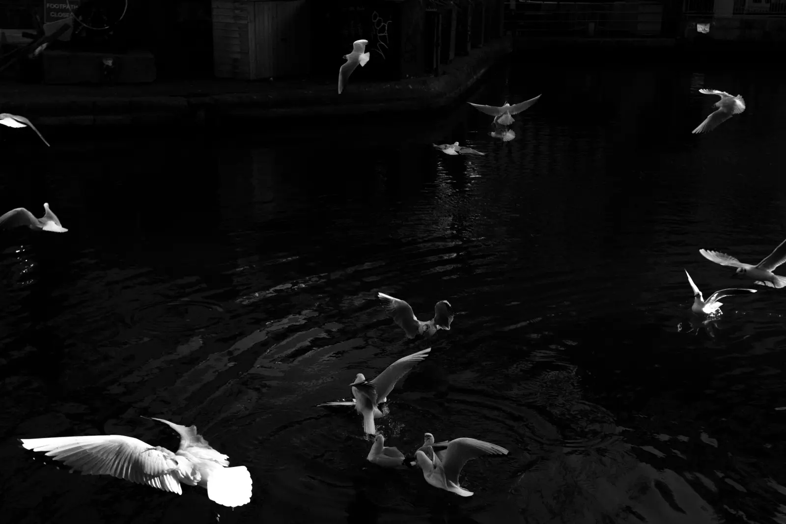 ALLA DERIVA / DRIFT 01 — immagine 5