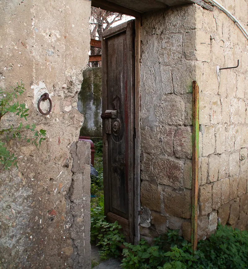 L'ospite inatteso
