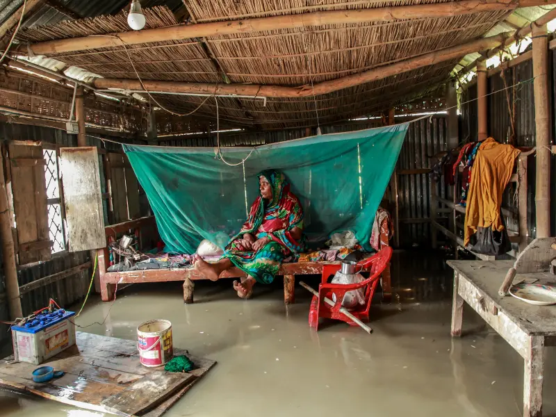 Flood Crisis
