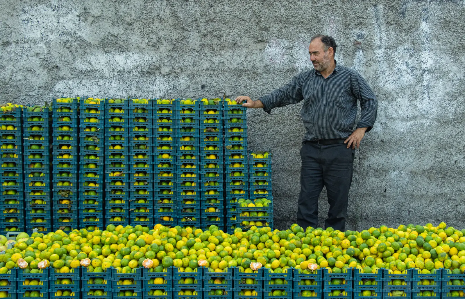 In the streets of Rasht — immagine 9