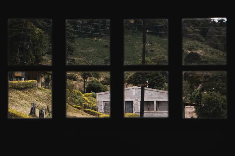 Raíces Profundas, Horizontes Lejanos