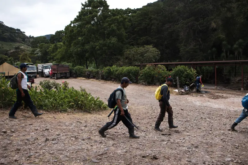 Raíces Profundas, Horizontes Lejanos