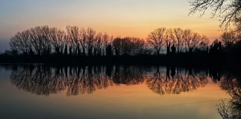 Silhouettes d'autunno