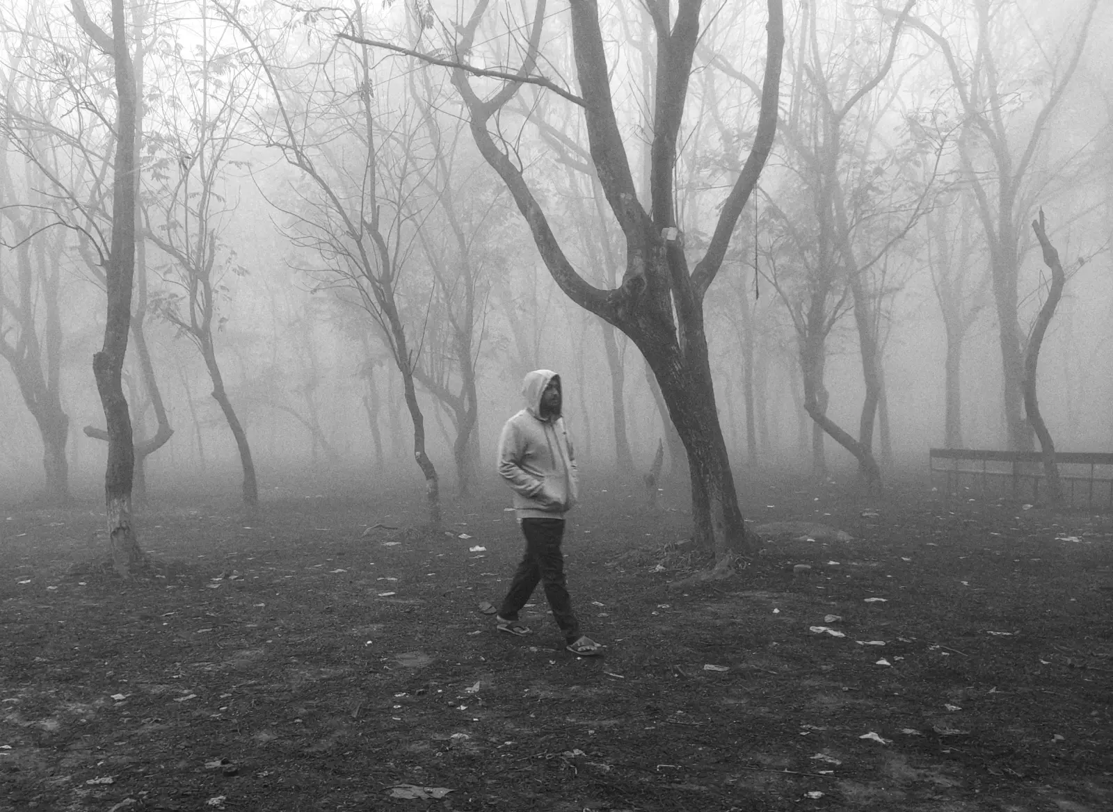 Into the Silence — immagine 1