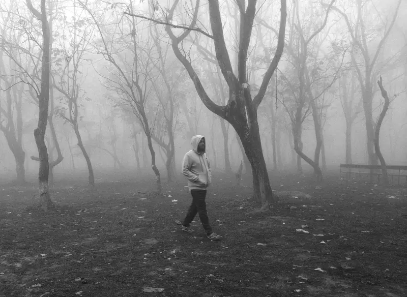 Into the Silence