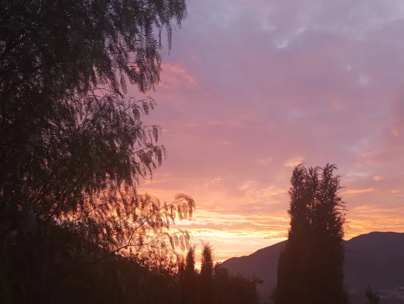 Sorgere alba