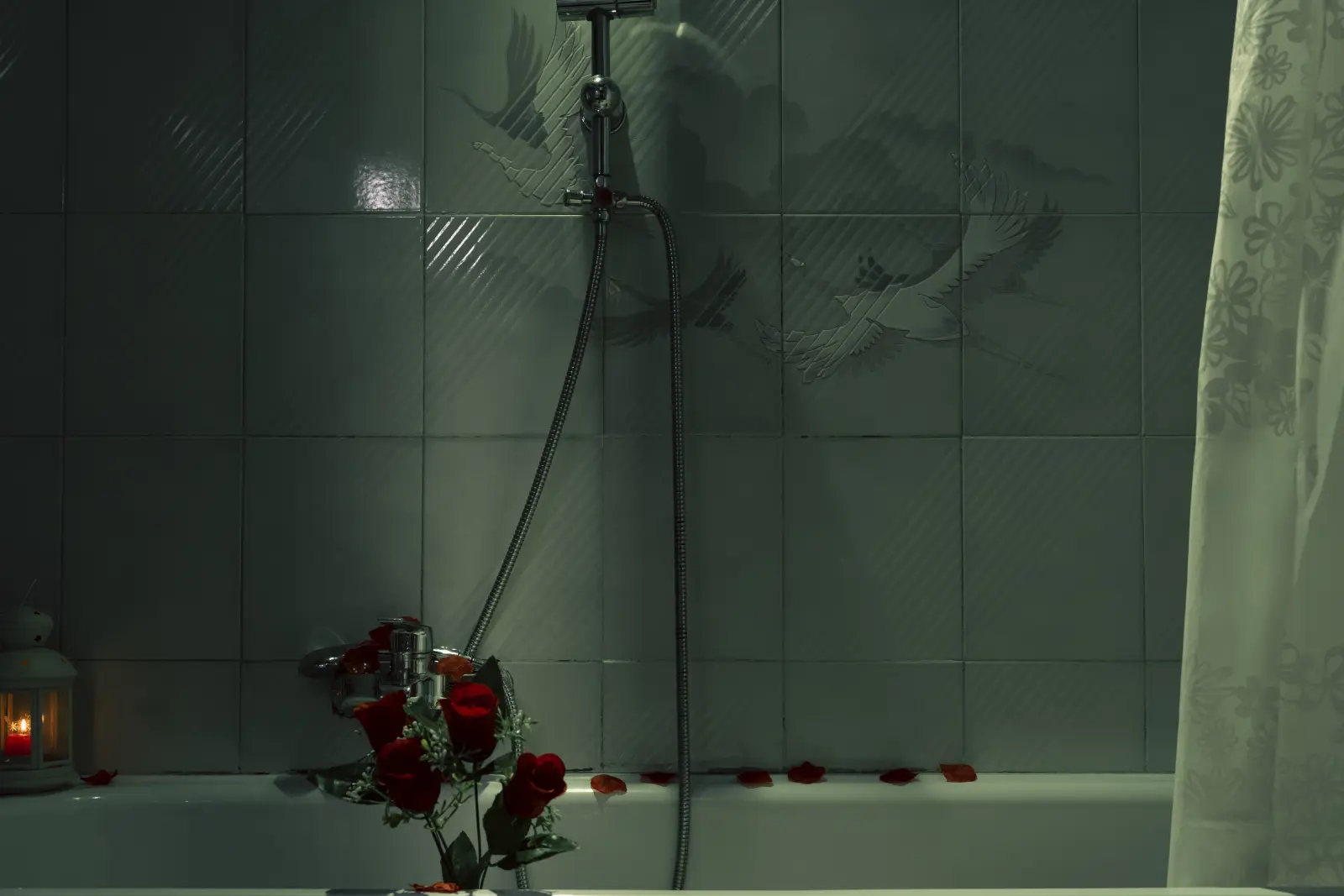 Reality fiction — immagine 1