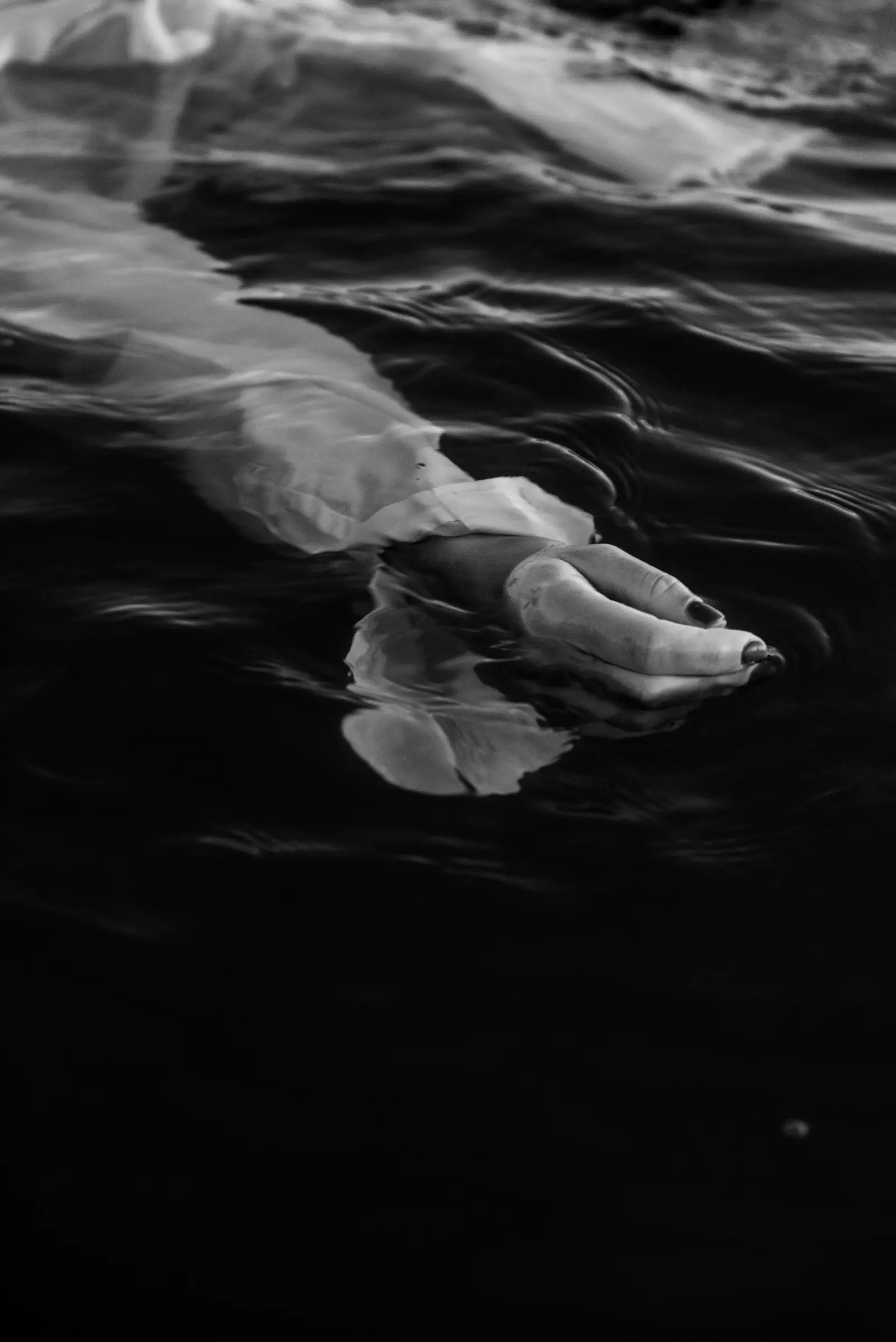restituita alla luce — immagine 5