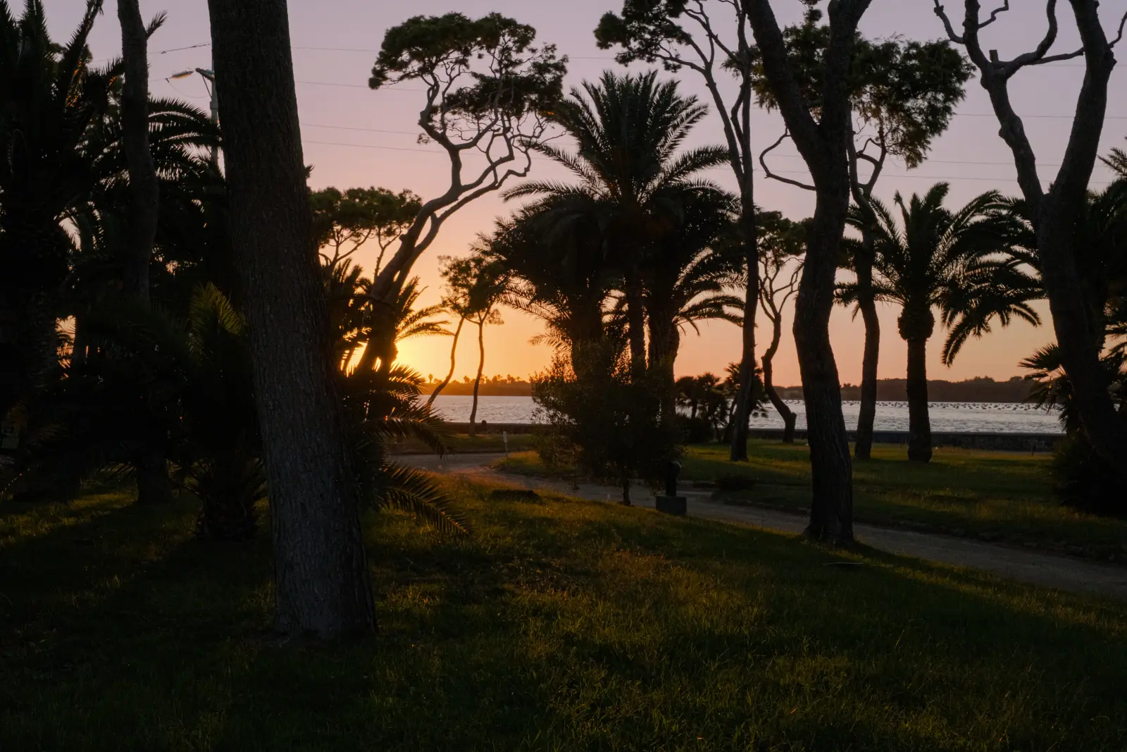 Verso Sera — immagine 4