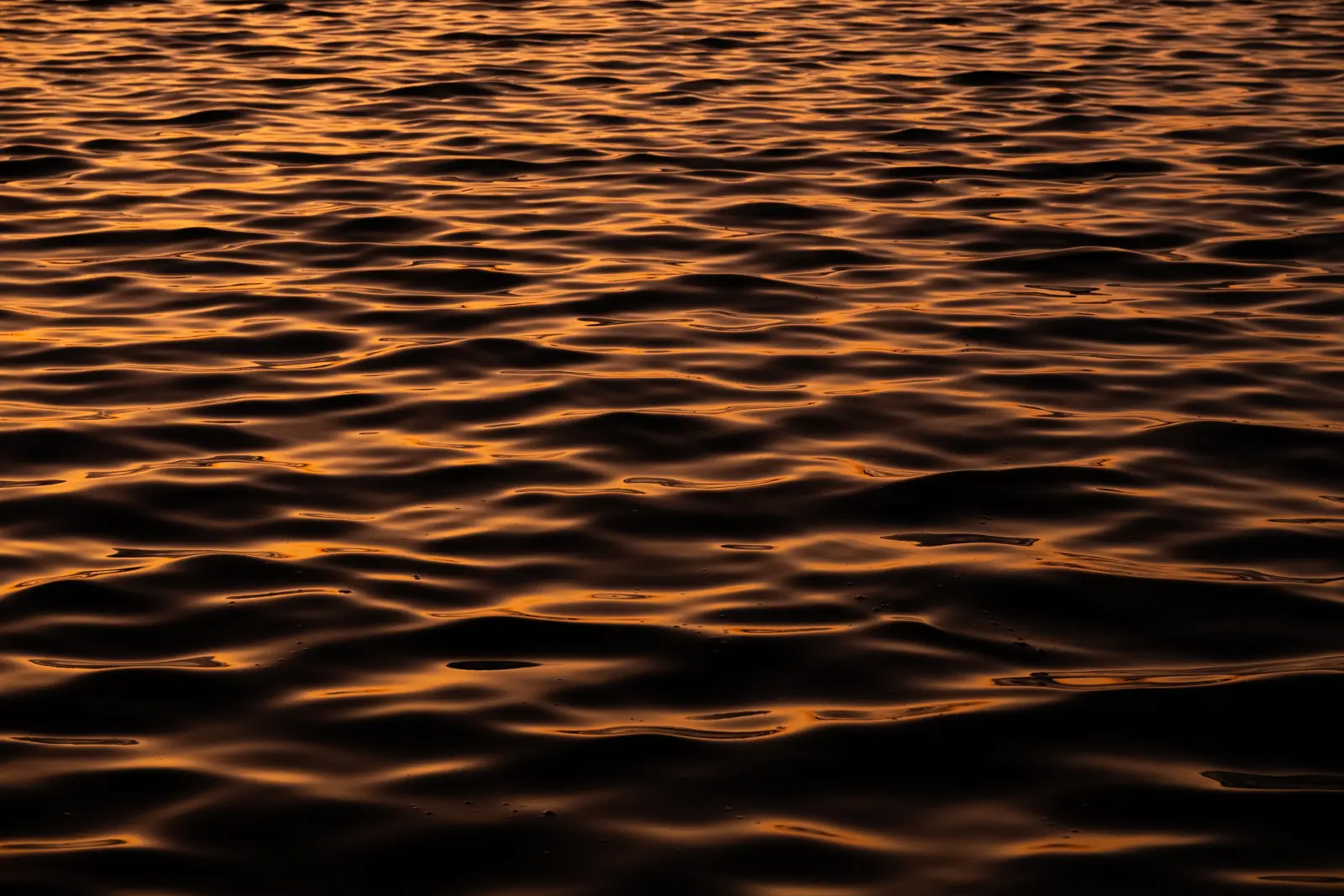 Verso Sera — immagine 3