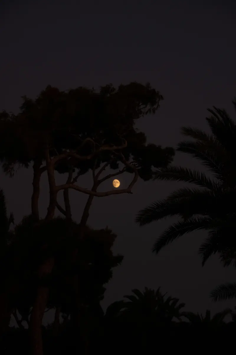 Verso Sera