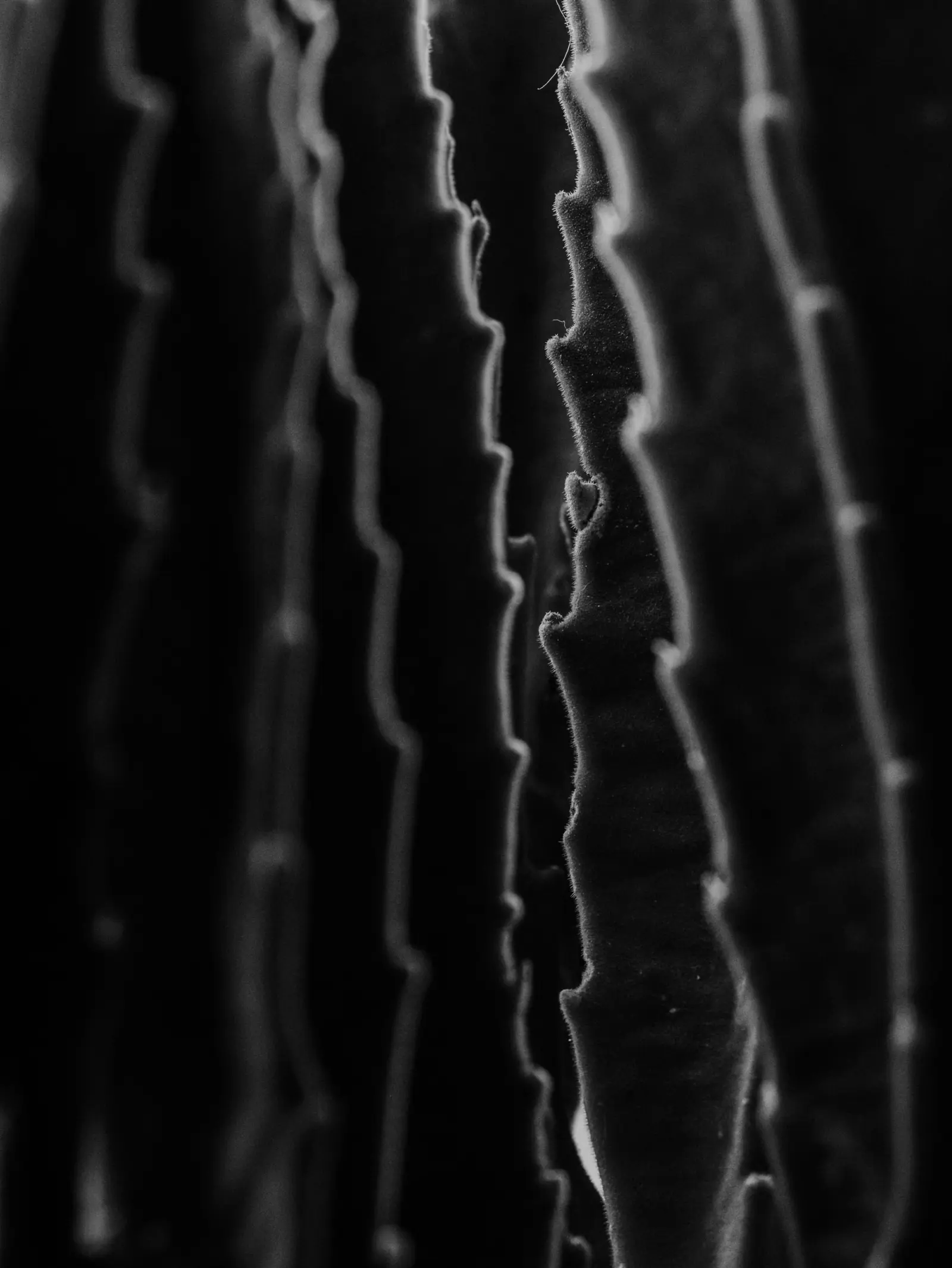 Freelance Phptpgrapher — immagine 9
