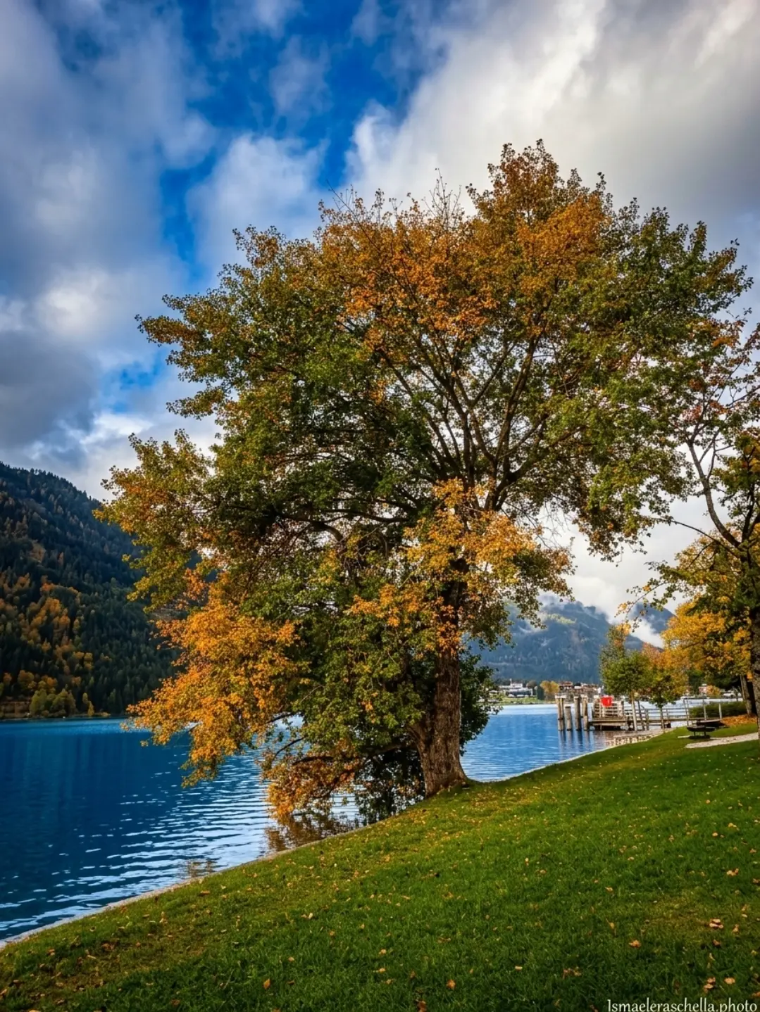 L'arte della natura — immagine 5