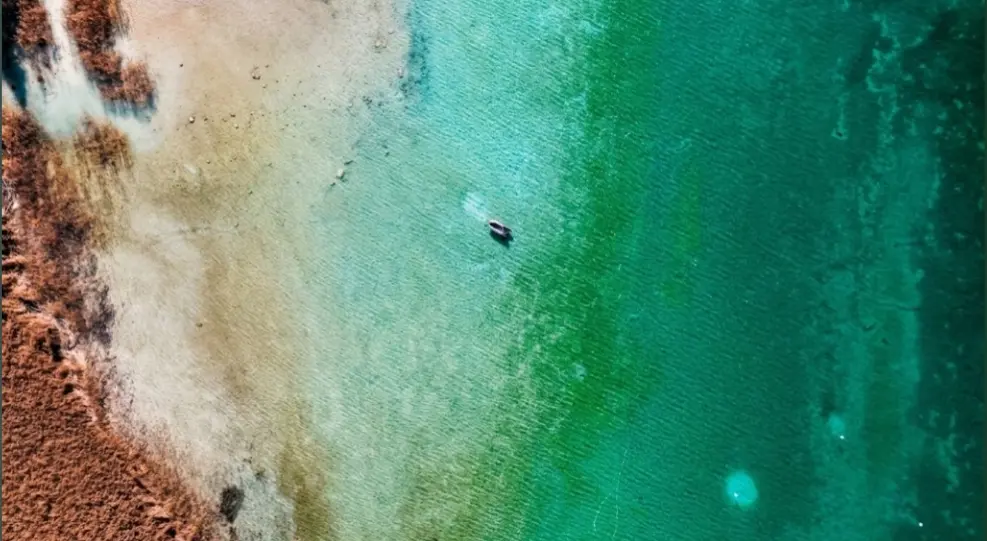 L'arte della natura — immagine 2