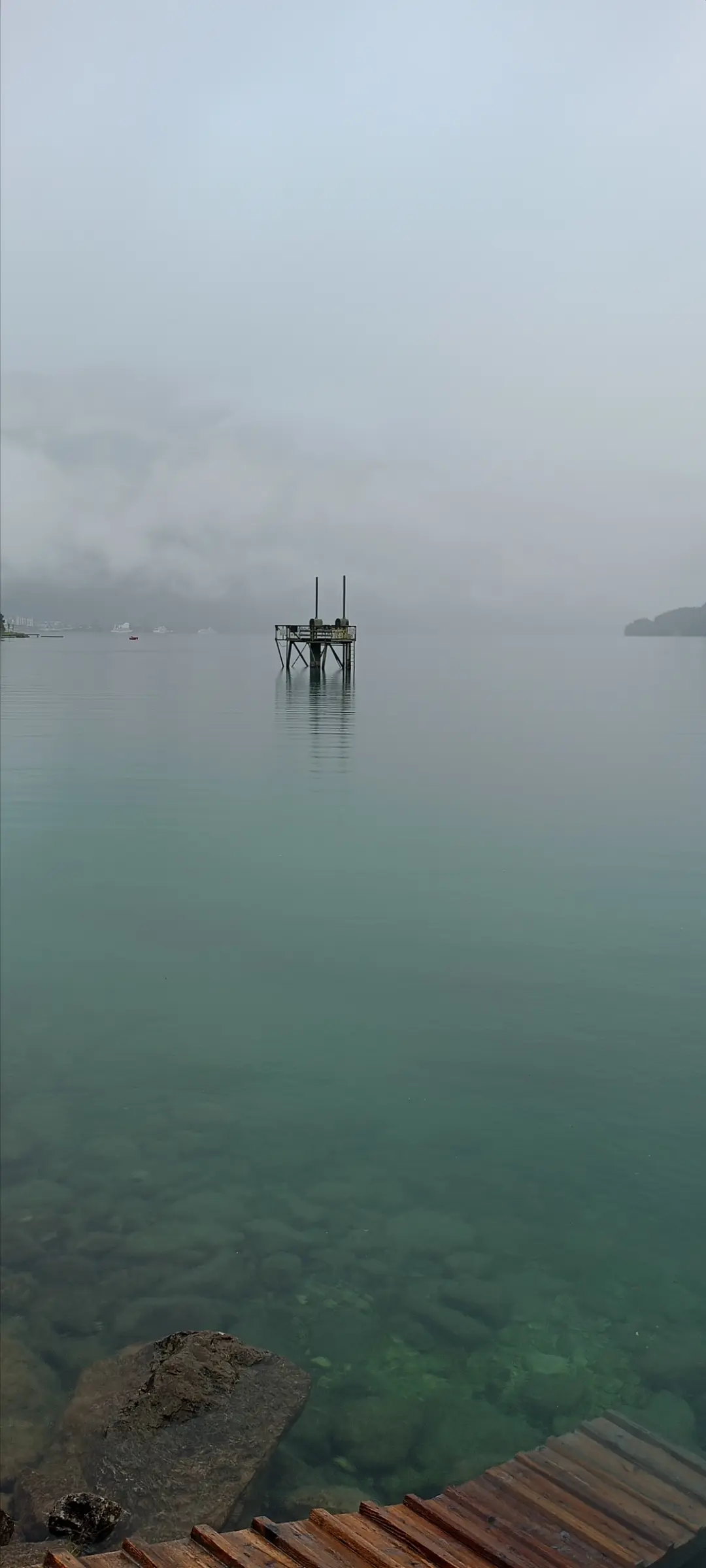 L'arte della natura — immagine 7