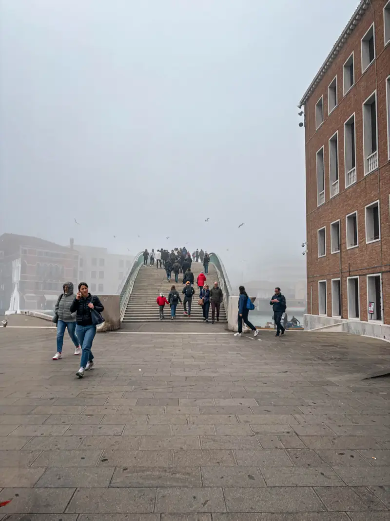 Attraverso la nebbia